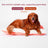 Pet sleeping bag nest with washable cover, close-up detail view