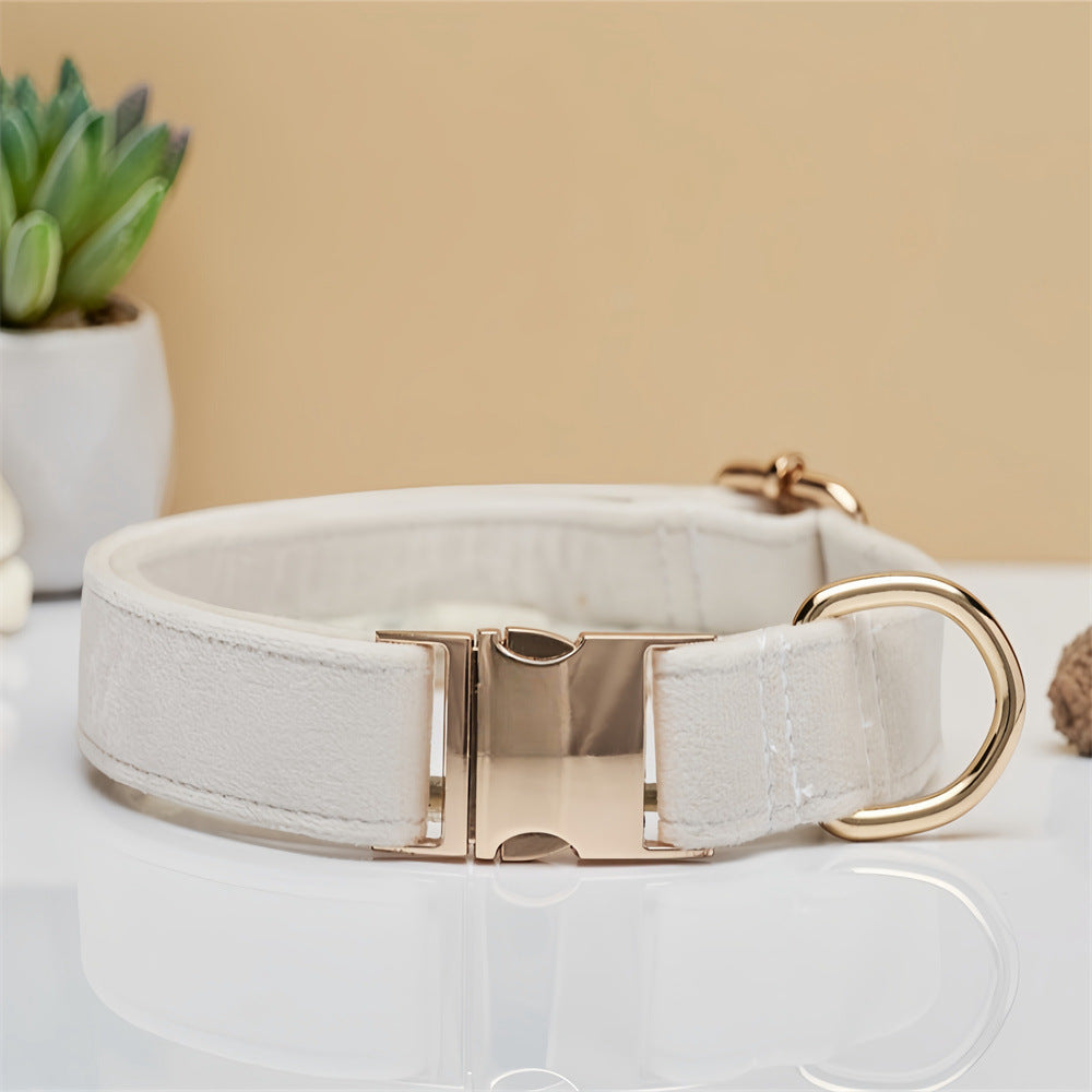 Soft velvet dog collar with metal buckle, main product photo