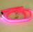 LED light up dog lead glowing green at night
