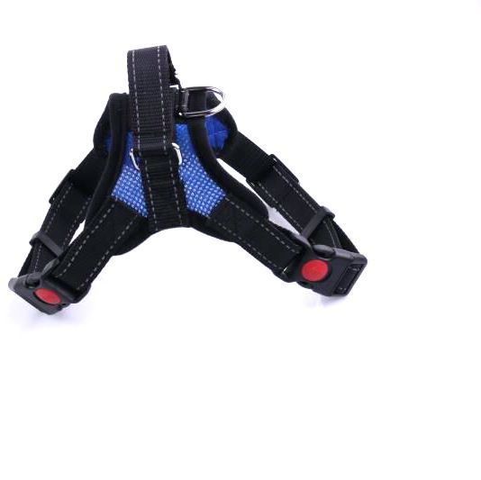 Breathable adjustable dog harness with reflective lead in Multicolour Elastic Lead, in a home setting
