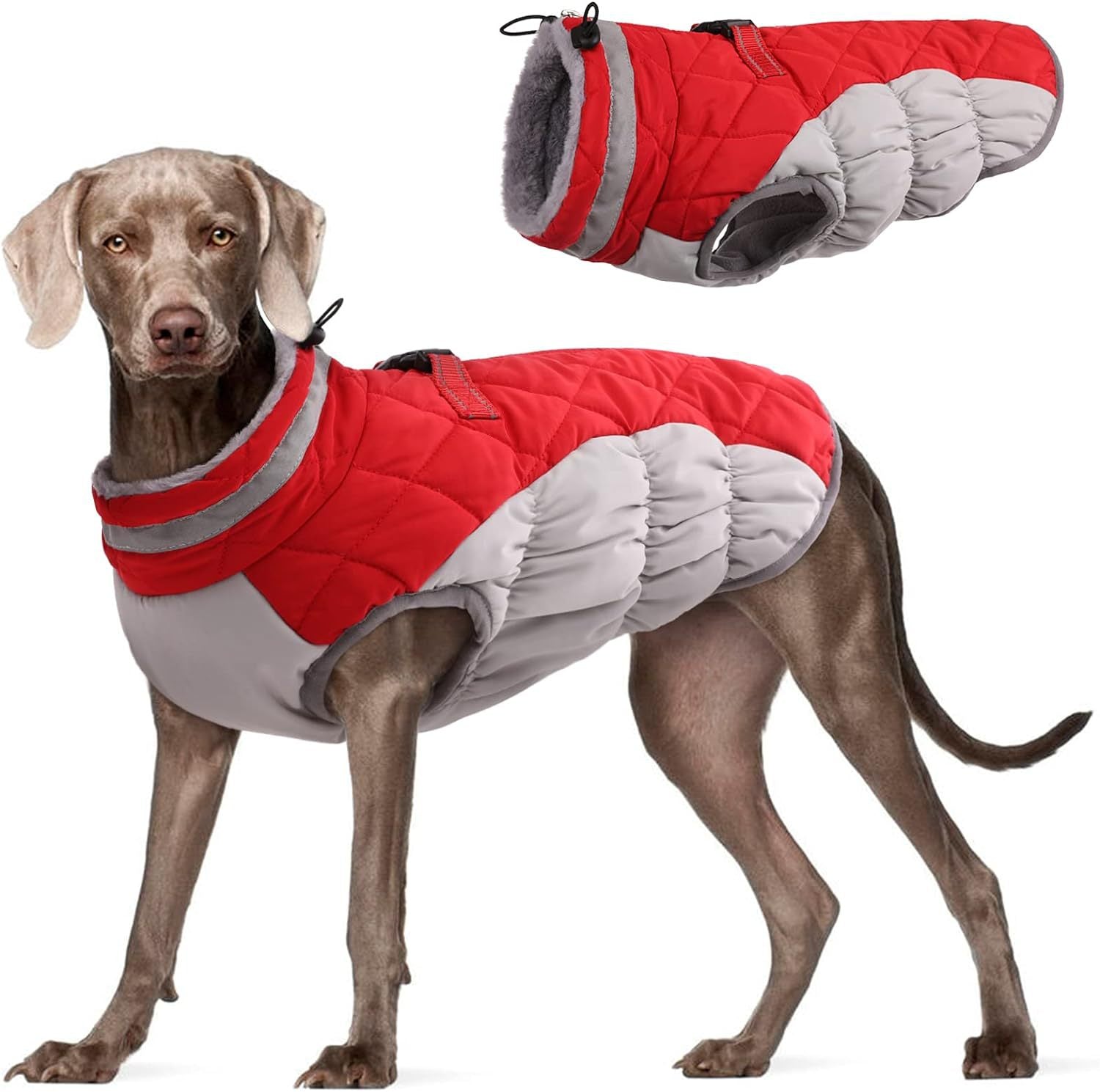 Windproof fleece lined padded dog coat in Red and Grey, in a home setting