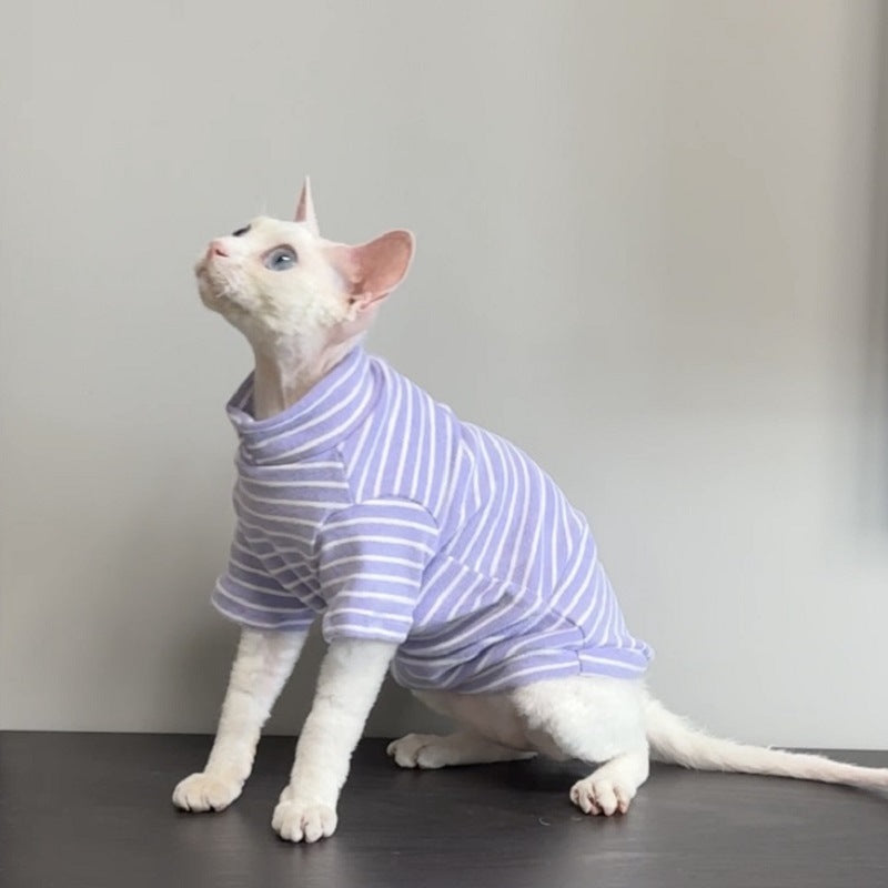 Warm cat jumpers for hairless breeds in black, green and purple
