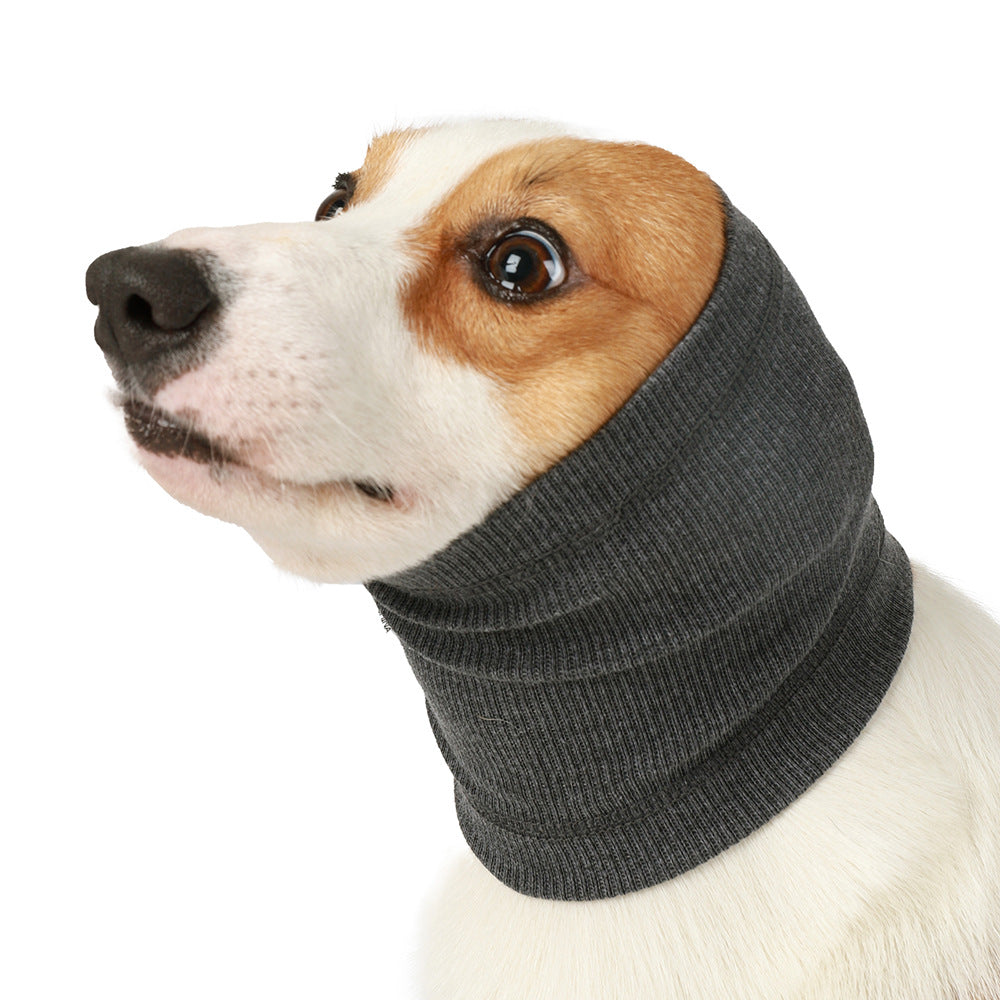 Dog wearing a grey noise muffling ear cover snood