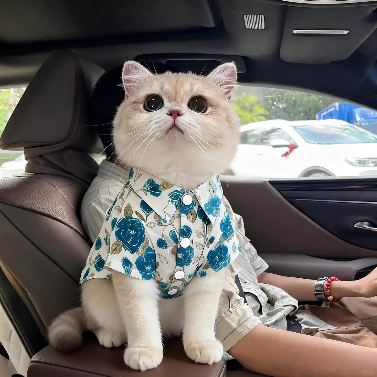 Summer shirt and vest for cats and small dogs, available in 21 styles, image 1