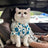 Summer shirt and vest for cats and small dogs, available in 21 styles, image 1
