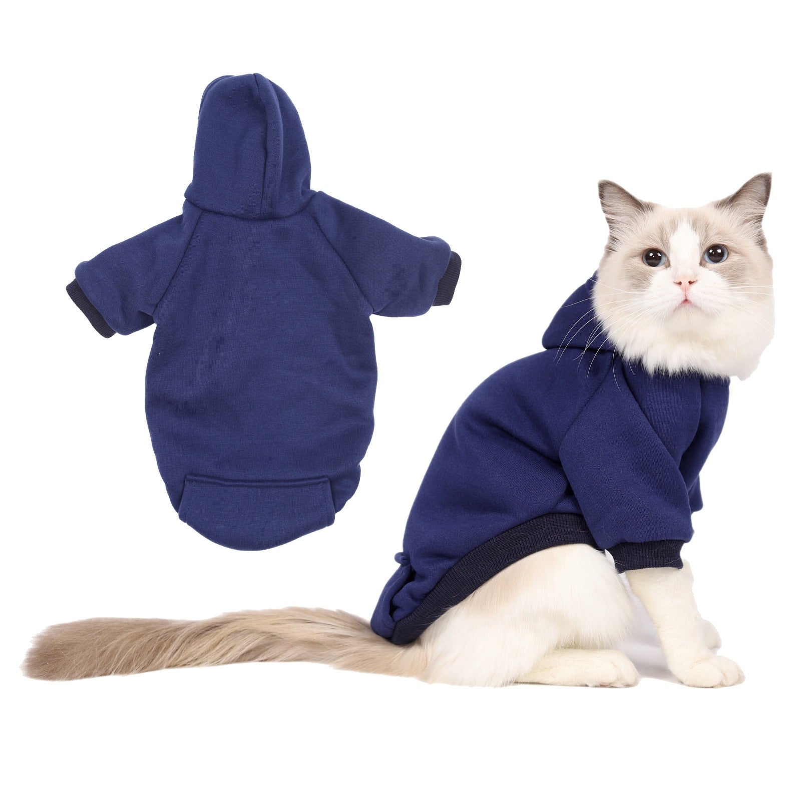 Small dog in a navy fleece lined hooded sweatshirt