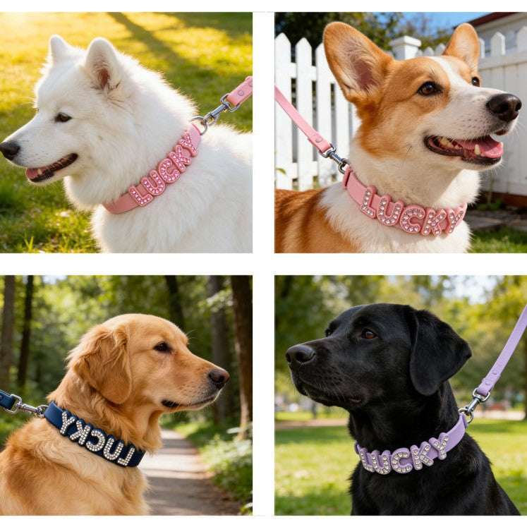Personalised silicone pet collar with letters, ideal for everyday use
