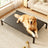 Raised pet cot keeping a dog off damp ground outdoors