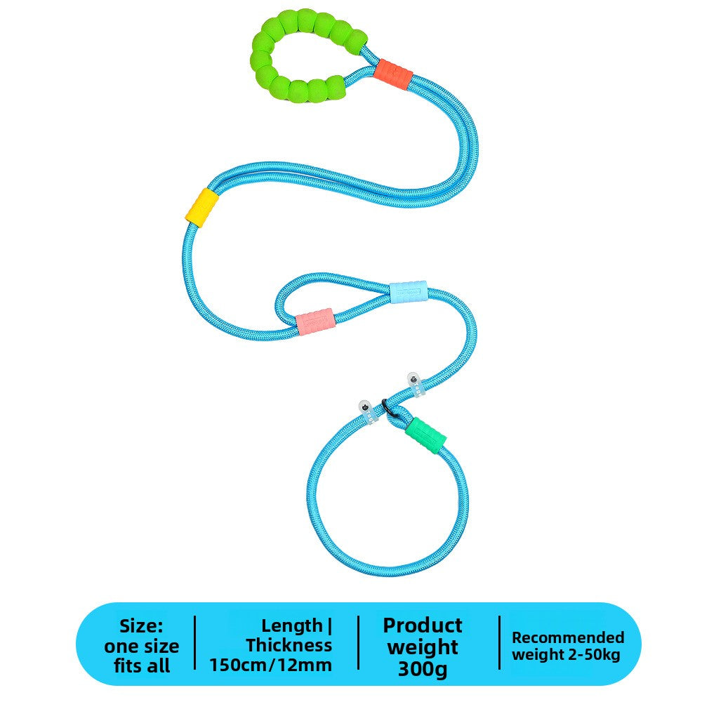 Bright nylon dog lead in vivid colour, product image 23