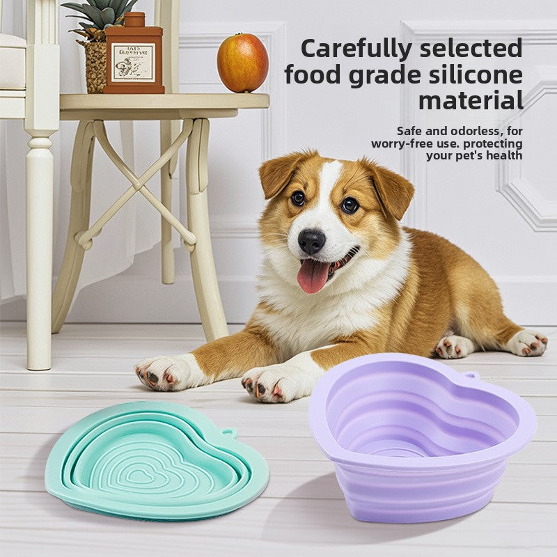 Foldable Silicone Pet Travel Bowl for Food and Water in Five Colours