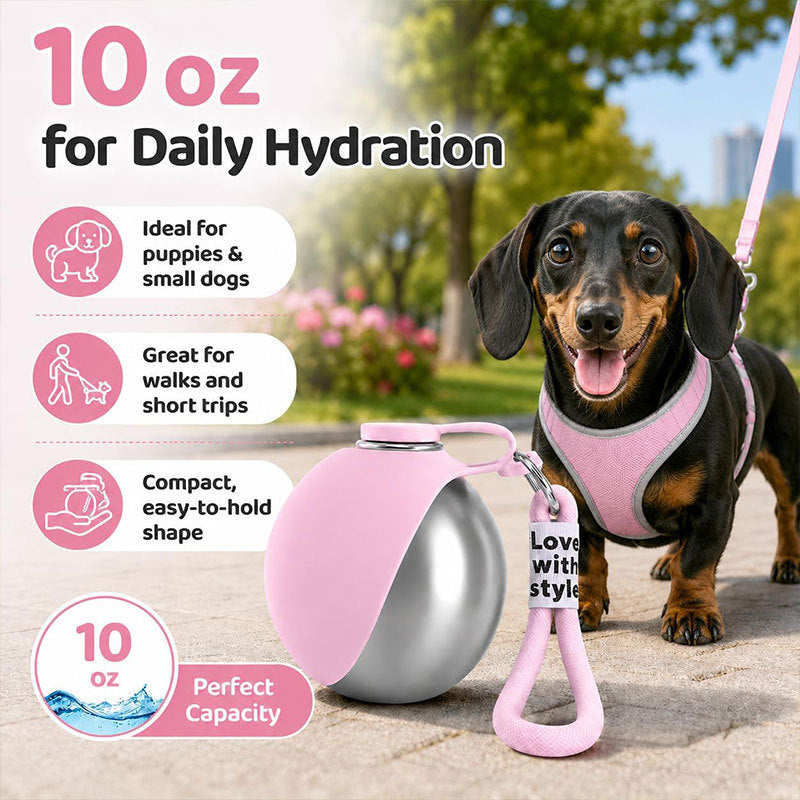 Stainless steel dog water bottle with hook in Grey Bottle, side view
