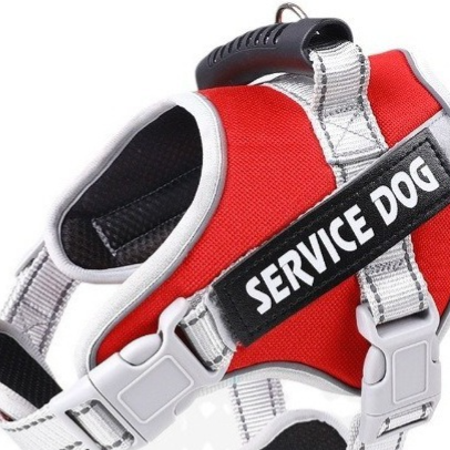 Reflective breathable mesh dog harness, 6 sizes available