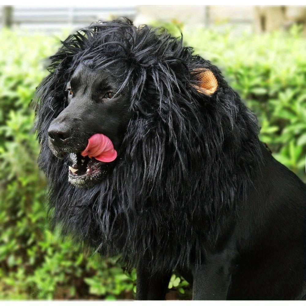 Lion mane wig hat for dogs and cats, available in 3 colours, image 2