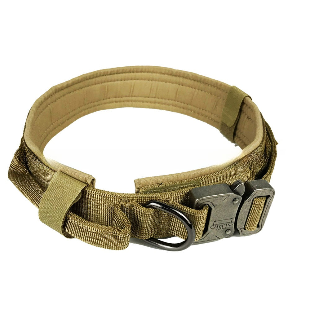 Tactical nylon dog collar with cobra buckle, ideal for everyday use