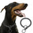 Cuban link stainless steel chain dog collar in 4 colour options
