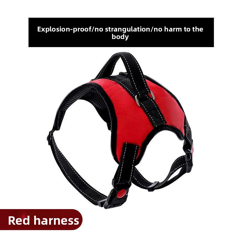 Blue nylon harness for large dogs with braided rope lead