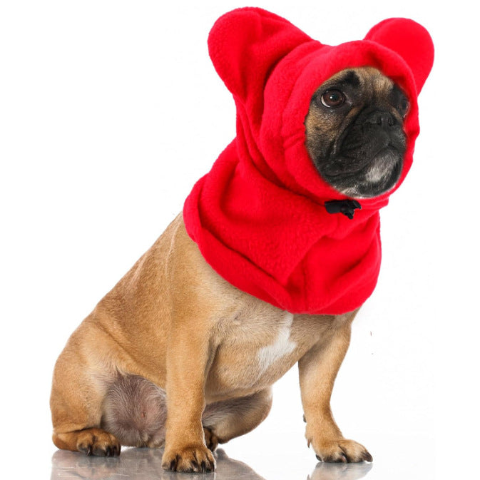 Cat wearing a warm red fleece winter hat