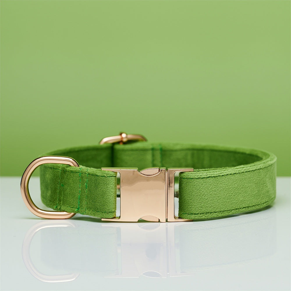 Soft velvet dog collar with metal buckle, 4 sizes available