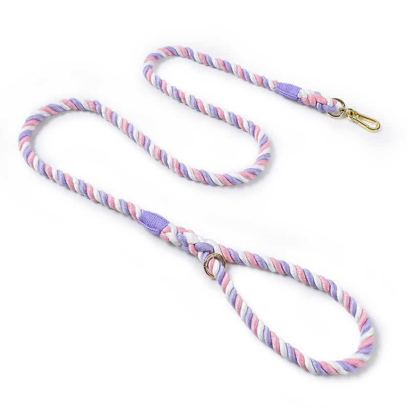 Woven rainbow dog lead with gold coloured clip