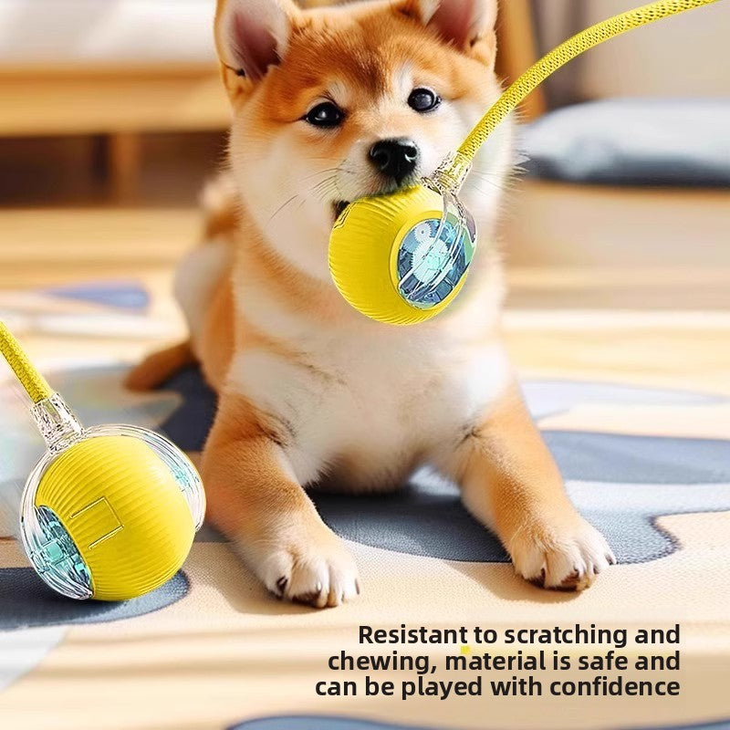 Electric Interactive Dog Toy with Obstacle Avoidance, 3 Speeds