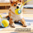 Electric Interactive Dog Toy with Obstacle Avoidance, 3 Speeds