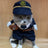 Pet Costume 3D Transformation Outfit