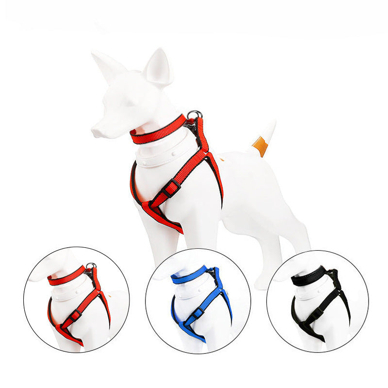 Rope dog lead set with harness or collar, 12 size and length options