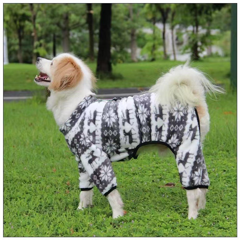 Coral velvet four-leg dog coat for small dogs in Royal Blue, showing size and shape