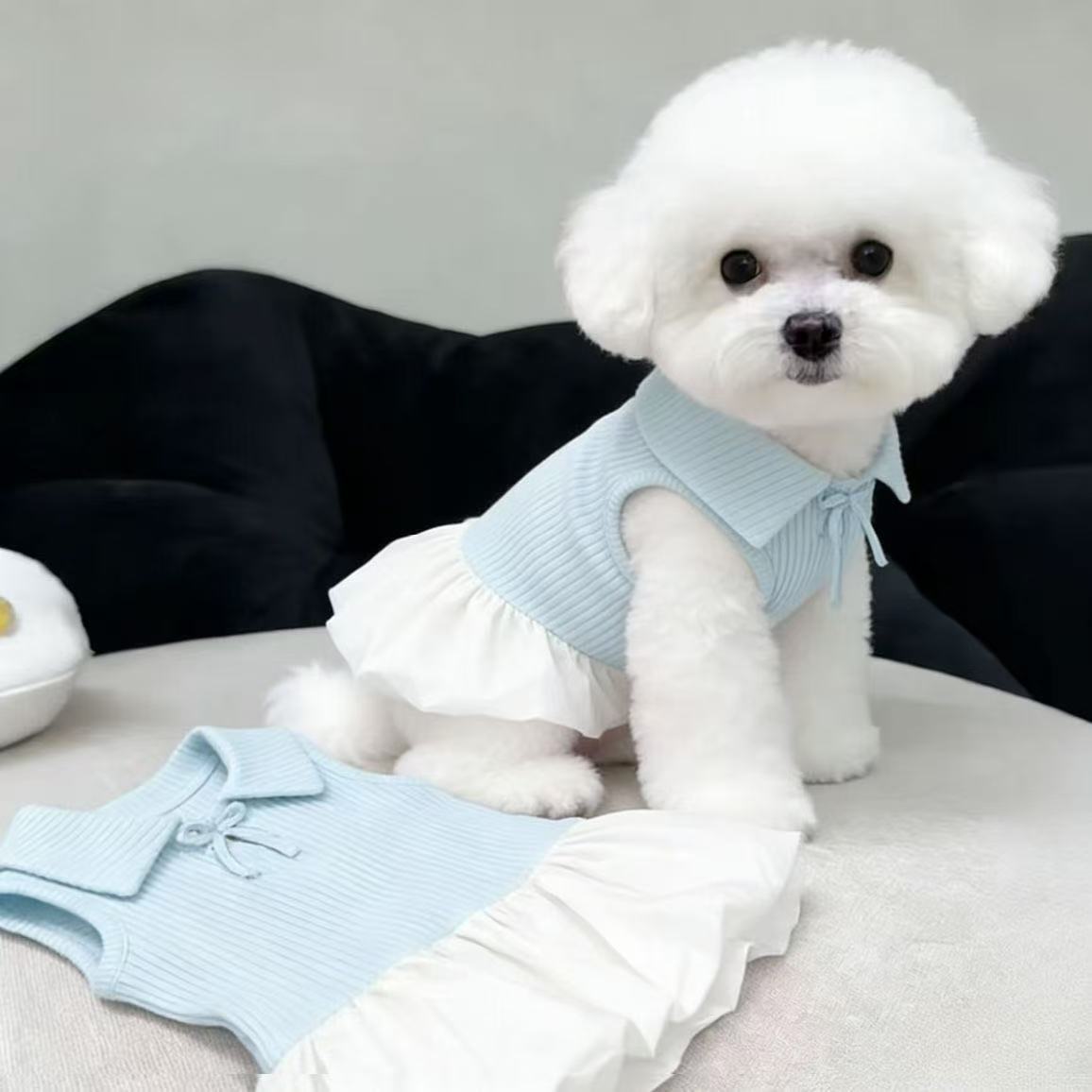 Blue polo collar summer dog dress, in Blue, image 2