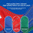 Reflective no pull saddle harness in red and blue on a dog
