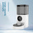 Pet Feeder Machine