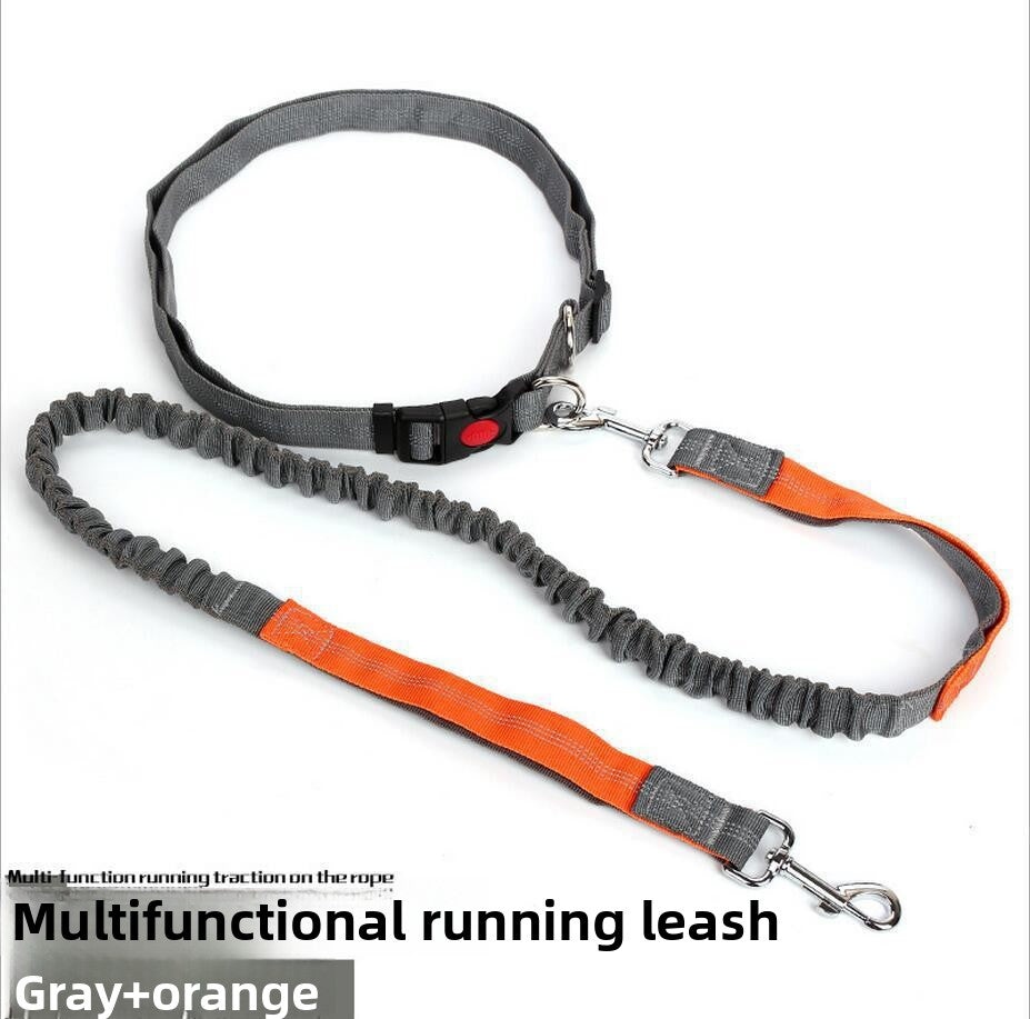 Hands-free stretch running lead for dogs, ideal for runs and jogs