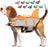 Shark fin dog life jacket, available in 9 colours, image 44