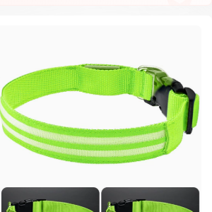 LED light-up dog collar in 8 colour options