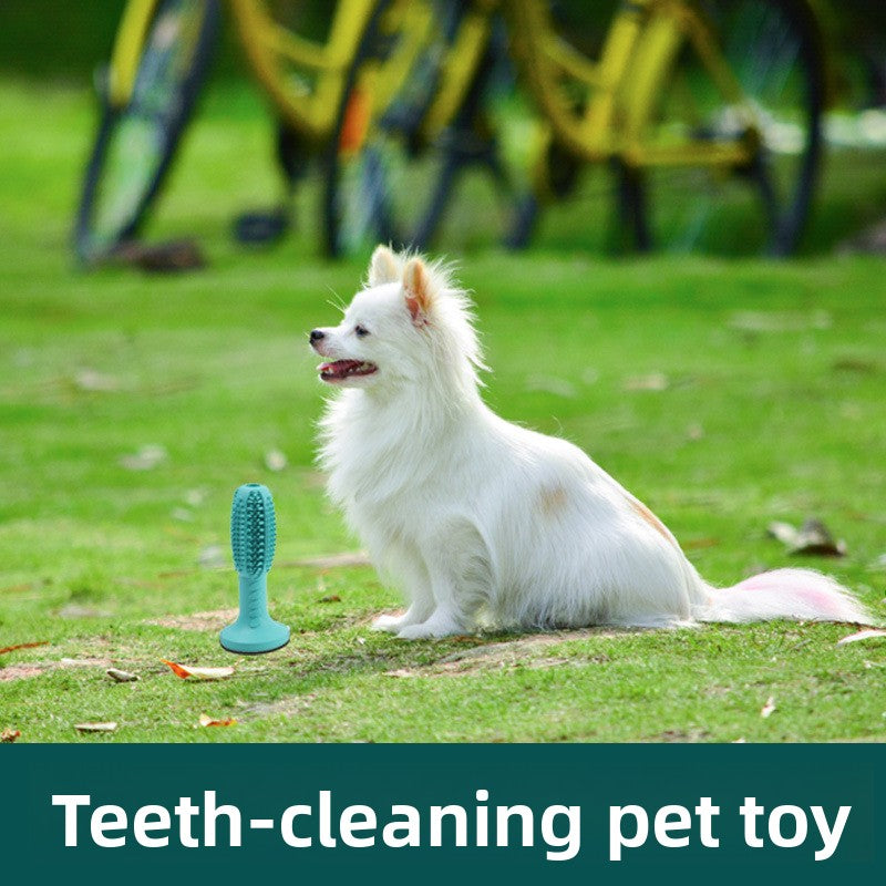 Natural rubber dog toothbrush chew toy with claw shaped base, view 3