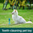 Natural rubber dog toothbrush chew toy with claw shaped base, view 3