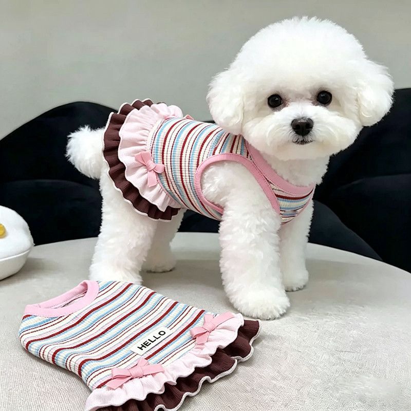 Rainbow striped dress for cats and small dogs