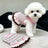 Rainbow striped dress for cats and small dogs