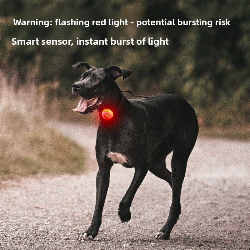 Clip on LED pet safety light in round shape on a collar