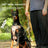 Nylon tactical dog harness with lead in 5 colour options