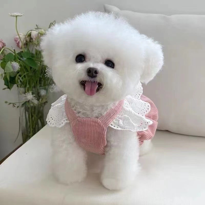 Pink corduroy pumpkin skirt pet dress with bow in Pink Corduroy, close-up detail