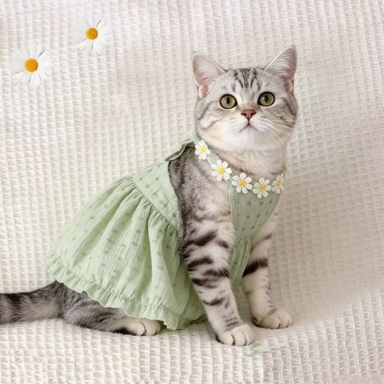 Light summer gradient dress for cats in breathable polyester, product image 11
