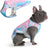Lightweight tie-dye summer dog vest in polyester, product image 9