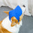 Cotton canvas dog baseball cap, available in 7 colours, image 1