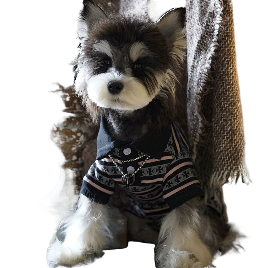 Plaid polo T-shirt for small dogs in Plaid, showing size and shape