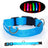 LED light up dog collar glowing green at night