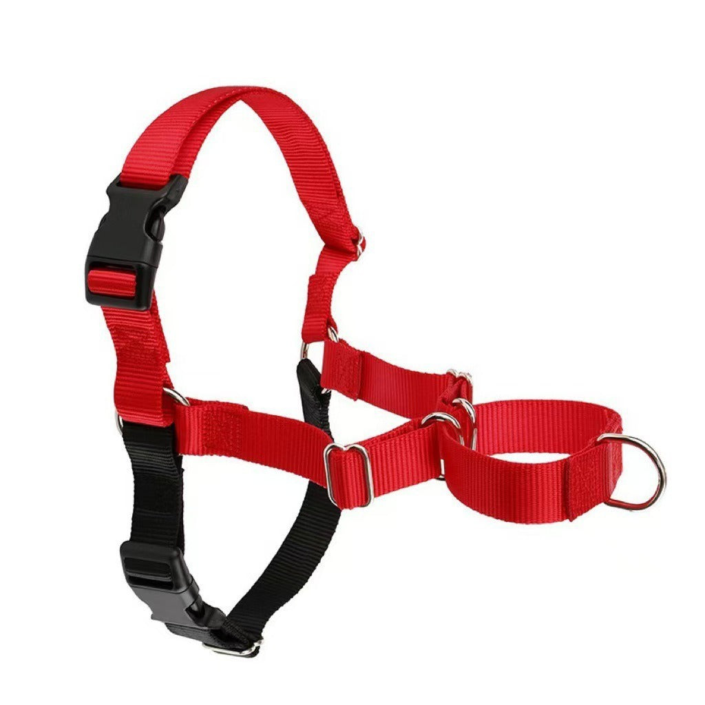 Adjustable no-pull nylon dog harness vest in bright colours, ideal for everyday use