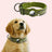 Nylon dog collar with built-in AirTag holder, tag not included, product image 10
