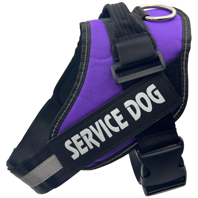 Reflective nylon dog harness with lead in blue, product image 20