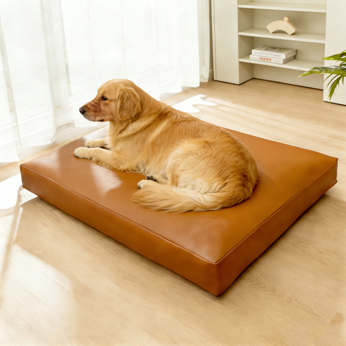 Removable washable dog mat with waterproof base, shown in 2 colours and styles